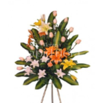 INAUGURACIÓN / ANIVERSARIO 05