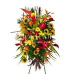 INAUGURACIÓN / ANIVERSARIO 06