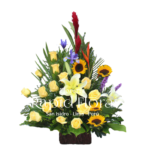 INAUGURACIÓN / ANIVERSARIO 03