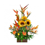 INAUGURACIÓN / ANIVERSARIO 01