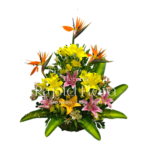 INAUGURACIÓN / ANIVERSARIO 02