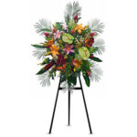 INAUGURACIÓN / ANIVERSARIO 08