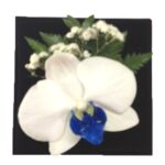 Orquídea Blanca centro Azul