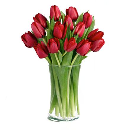 envio de tulipanes a domicilio lima | Floreria Lima